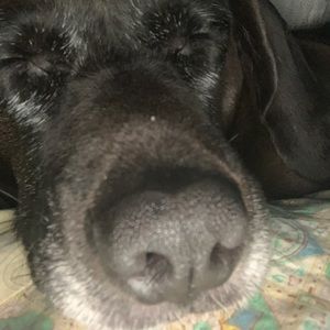 Meet your Posher, Jeffrey